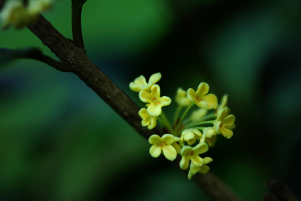 ���¹��㣬���l��˼�c