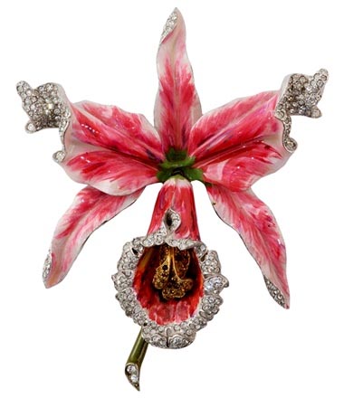 ���ԟᎧ�L���錚 �_����ֲ������