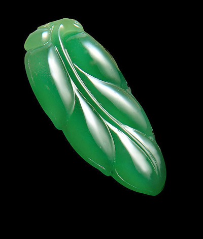 �`��ľ���