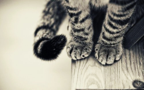 ����߀�����������˰���