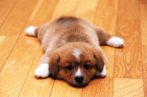 ����߀�����������˰���