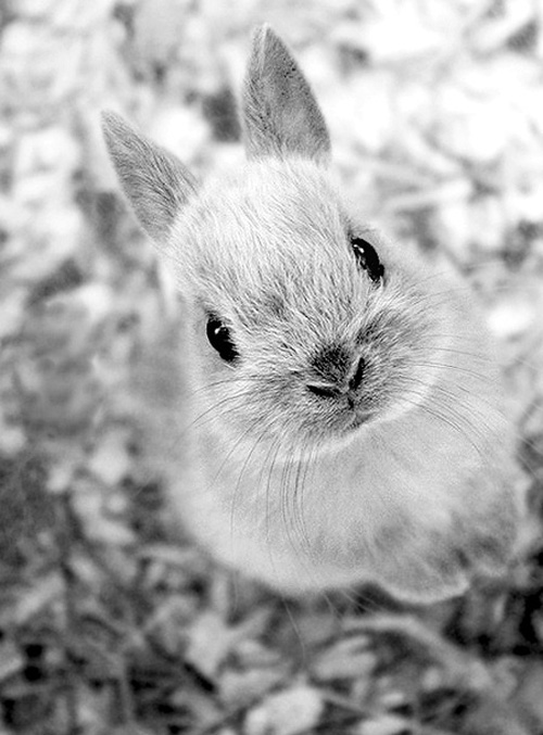 ����߀�����������˰���