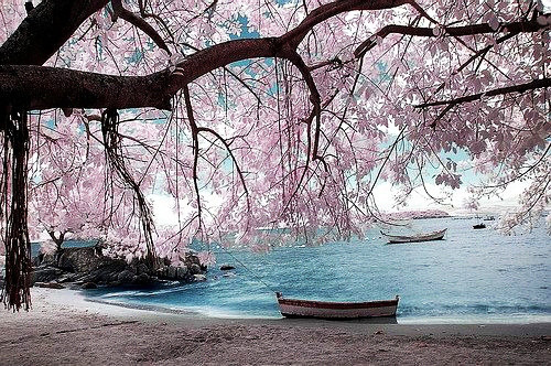 ȥ���аɣ���߀���p��������߀����D��