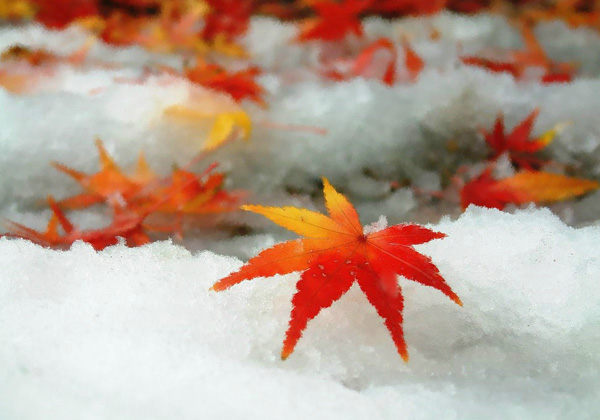 �o����� ��ͩ�~�会����