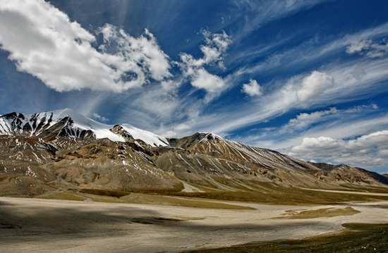 ��Ȼʲô����׌�����Y������