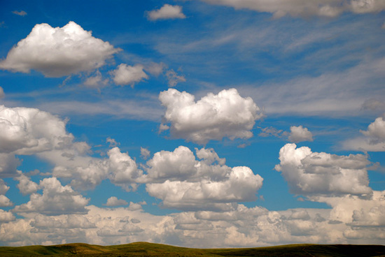 ��Ȼʲô����׌�����Y������