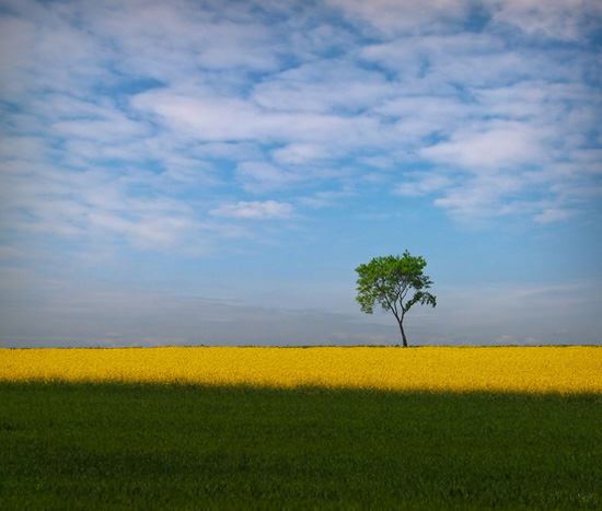 ��Ȼʲô����׌�����Y������