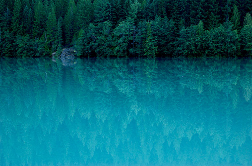 ��Ȼʲô����׌�����Y������