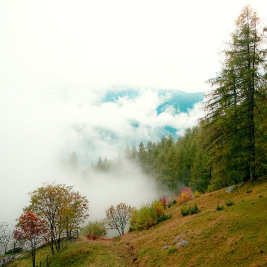 ��Ȼʲô����׌�����Y������