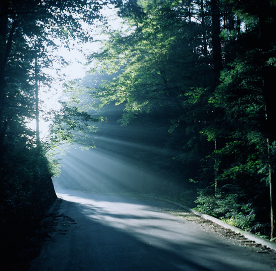 ��Ȼʲô����׌�����Y������