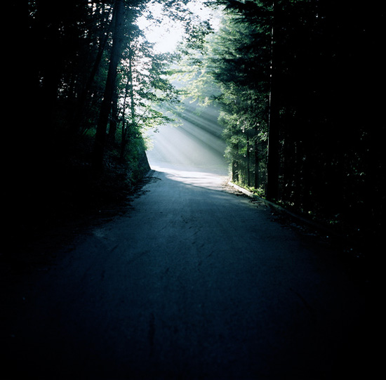 ��Ȼʲô����׌�����Y������