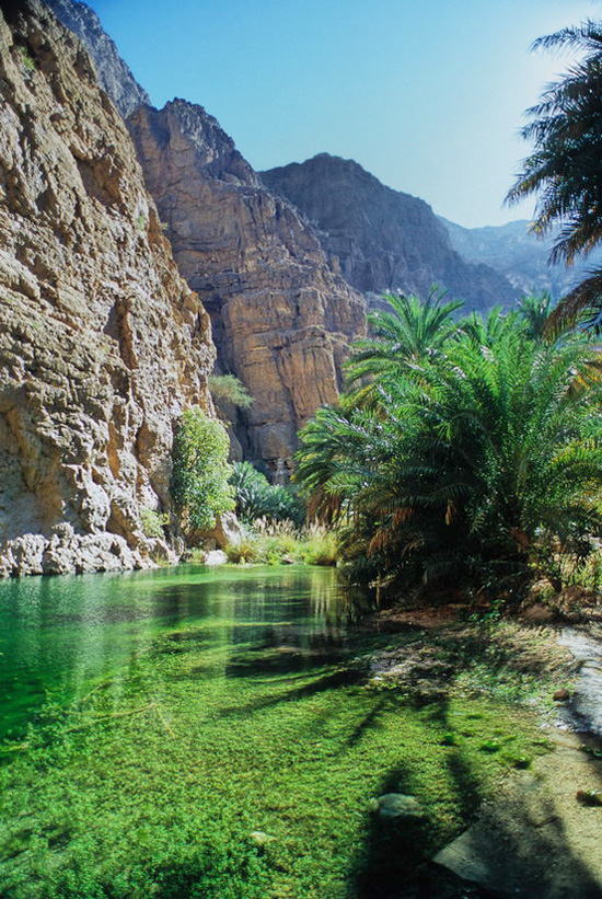 ��Ȼʲô����׌�����Y������