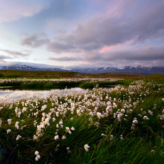 ��Ȼʲô����׌�����Y������