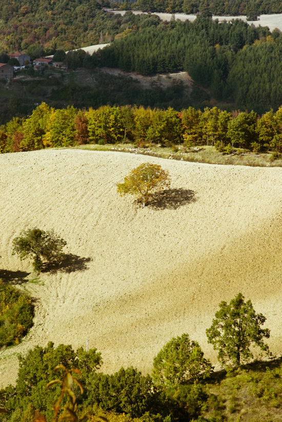 ��Ȼʲô����׌�����Y������