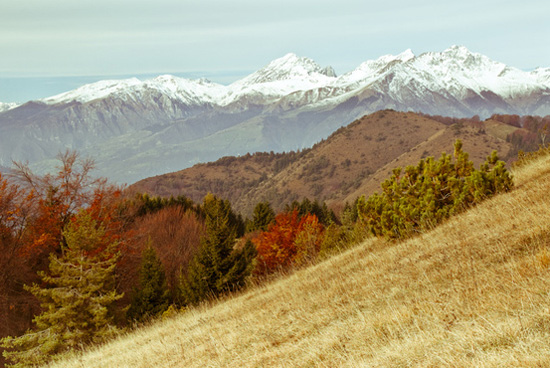 ��Ȼʲô����׌�����Y������