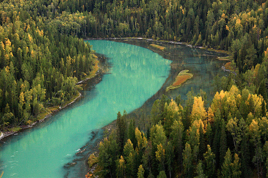 ��Ȼʲô����׌�����Y������