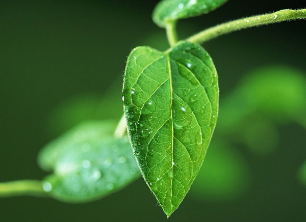 ��I��һ�~���О��l�h��