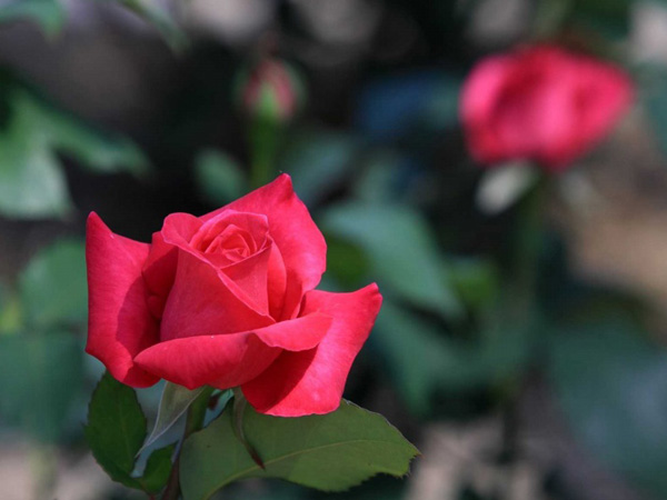 �m��Ī�����c�\�����m����ǰ��ƪ