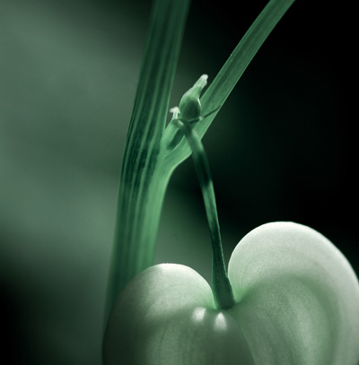 һ�K�tI��һ����˼��