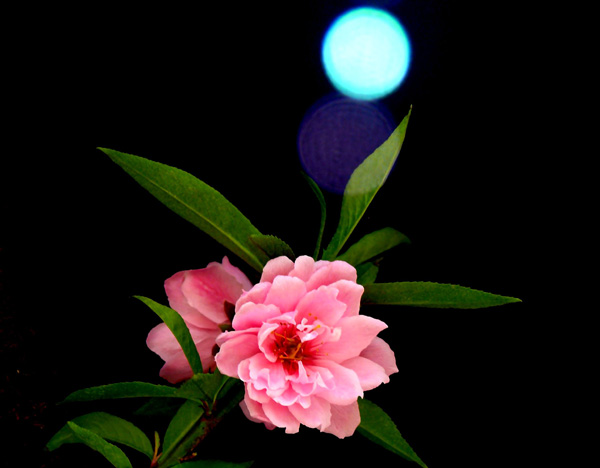 �°��L�壬�α�ӛ�Á�r·