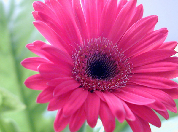 �@�ӵ�Ů����һ��Ҫ��ϧ