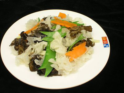 �＾���������ز��Գ�����