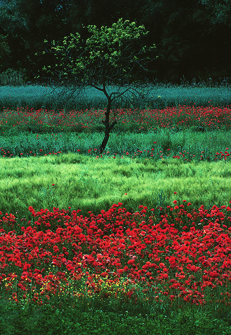 ��ɽ��˶��� ���ЌӴθе�����