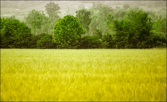 ��ɽ��˶��� ���ЌӴθе�����