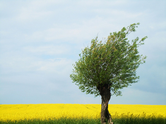 ��ɽ��˶��� ���ЌӴθе�����