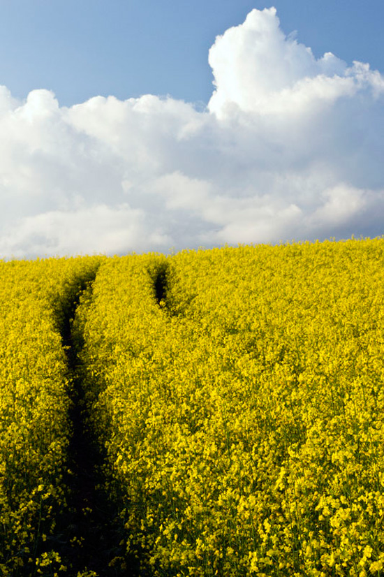 ��ɽ��˶��� ���ЌӴθе�����