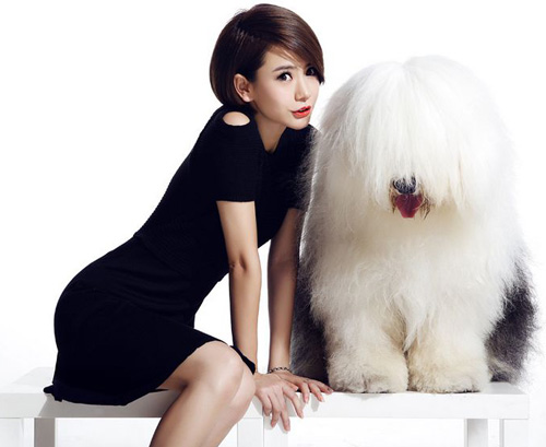 ��ޱ�DƬչʾ�c�������H�ܽ��|