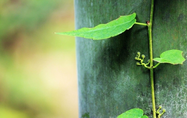 ������Ʒ�|����ζ����Ů��