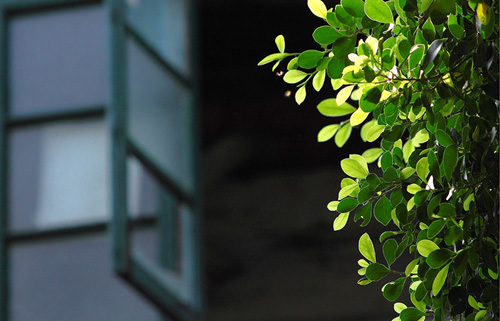 ����һ�����ď����Ů�ˆ᣿