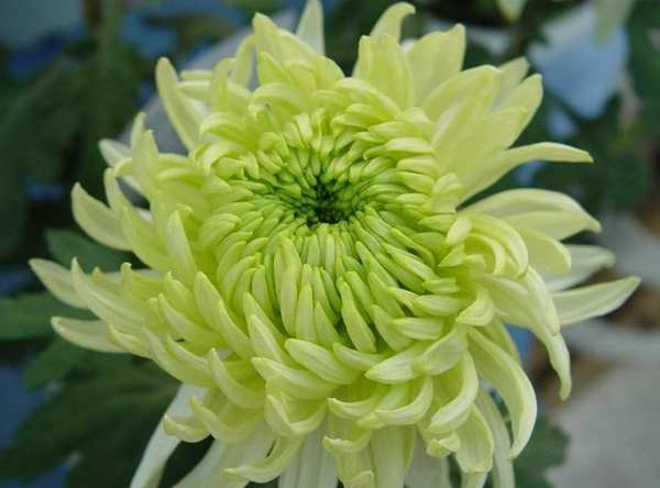 �ջ��裺���Ű�H