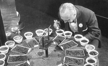 �����Ļ���������ħ����ԎӋ