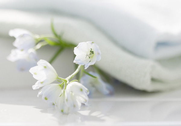 �t�m��̎�������l�z