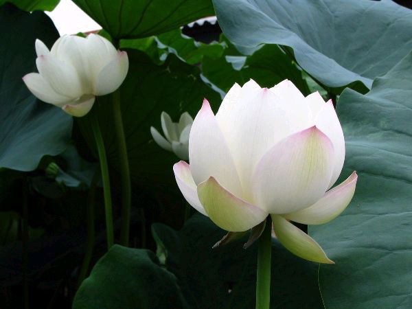 ��һĨ�p��볚����p�����Z�g