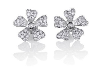 ����t��ҫ�����@ Ұ��ϵ���A���`��