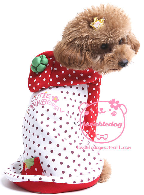 ������b��������ݮ���b