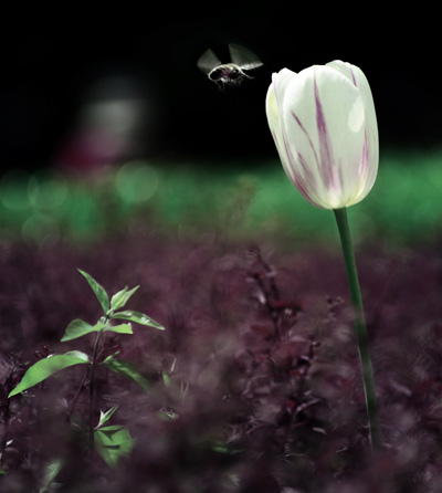 īȾ�]���˼��������ƓP����ͤ