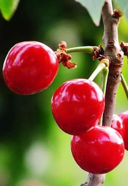 ˮ������Գ��Ú�ɫ �����֜p��