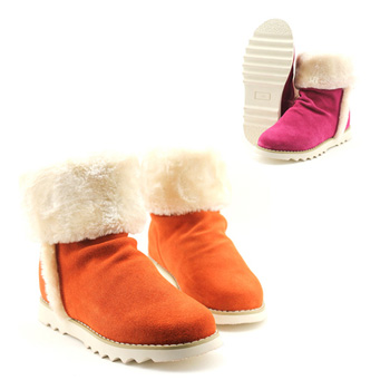 �͹ű�����Ь ��椴��