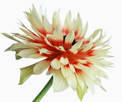 �wָ�t�m���Ȼ���