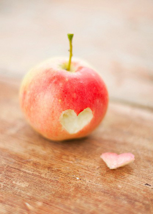 �������� �����������ͣ����