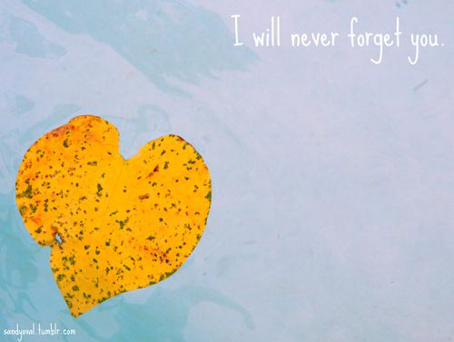 �������� �����������ͣ����