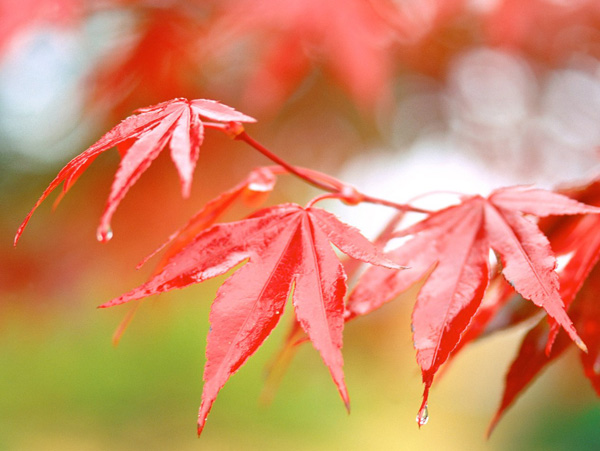 ������־���һ���o�������� 