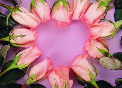 �ۿ��Ժ����ΆΣ��������S�S���