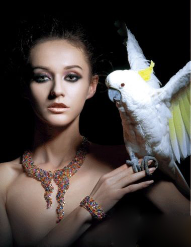 �����錚 ���վޫI(xi��n)