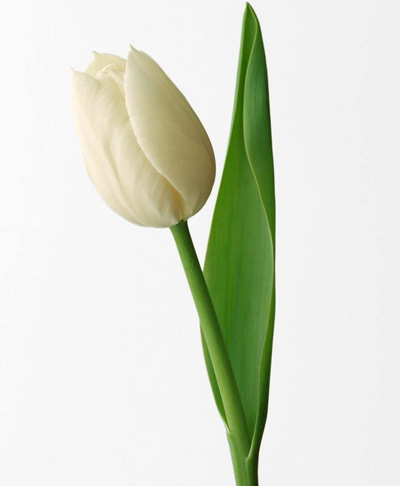 ���ד������M���������Ů�� 