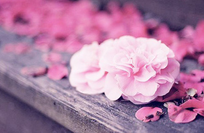 ��Ȼ���옷���������B